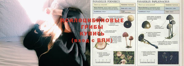 стаф Протвино