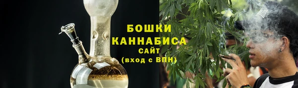ПСИЛОЦИБИНОВЫЕ ГРИБЫ Елабуга