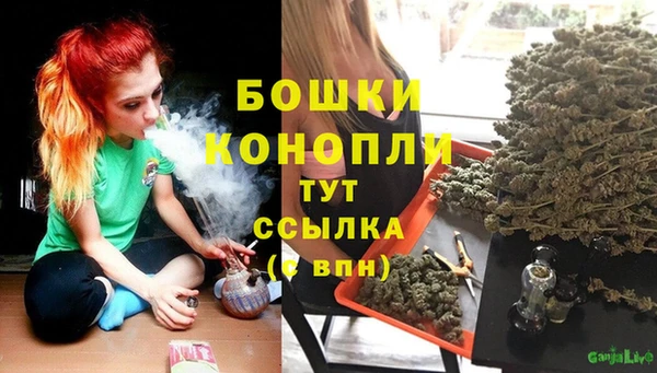 прущие крисы Елизово
