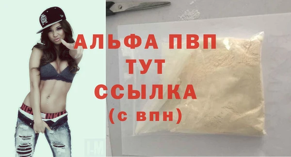 ПСИЛОЦИБИНОВЫЕ ГРИБЫ Елабуга