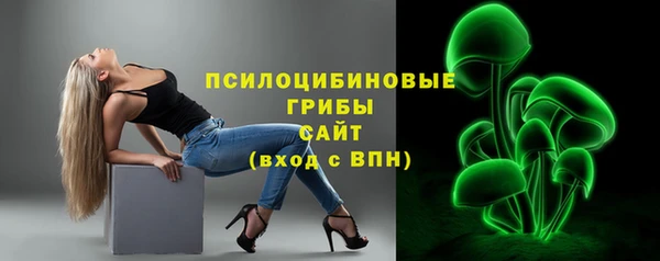 таблы Ельня