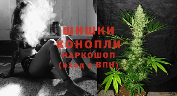 прущие крисы Елизово
