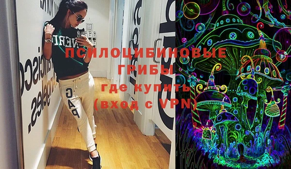 таблы Ельня