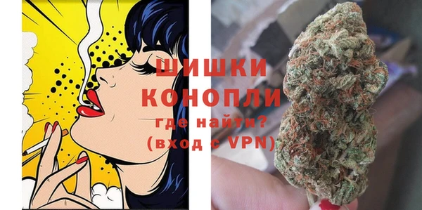 ПСИЛОЦИБИНОВЫЕ ГРИБЫ Елабуга