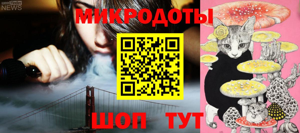 Галлюциногенные грибы Psilocybine cubensis Ирбит